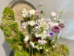 -HELEN FLORAL DESIGN(海上世界文化艺术中心店)
