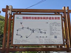 -大岭沟猕猴桃谷风景区