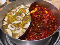-青瓷火锅料理(西单大悦城店)