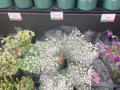 -平安里(地铁站)