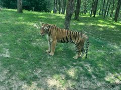 -北京野生动物园