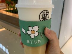 远山茉莉-叶子与茶(苏宁广场店)