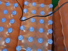 -0317火锅鸡·清真(正达店)