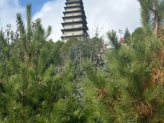 -雁门关景区