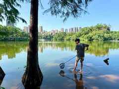-重庆彩云湖湿地公园