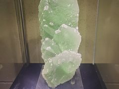 -中华赏石园