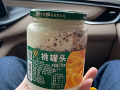 -苏记奶酪(二中店)