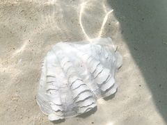 -邦邦岛