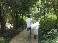 -成都市活水公园