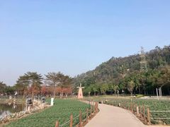 -顺峰山公园
