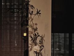 -德迹斋禅意文化茶馆·茶空间·商务洽谈•宴席(桃园店)