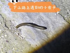 -鬼笑石后山停车场