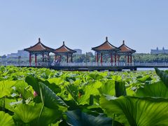 -长春市南湖公园