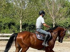 -北京群众马术培训基地