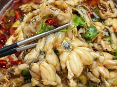 -大众美蛙鱼头(民心佳园总店)