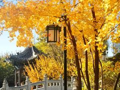 -迎泽公园