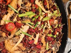 -老板恋上鱼(印象城店)