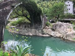 -鹿亭中村