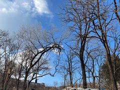 -阳台山自然风景区