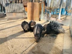 -北京野生动物园