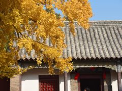 -浮来山风景区