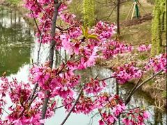 -梁鸿国家湿地公园