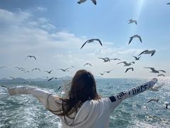 -海驴岛(荣成市)