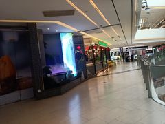 -洪氏嗨捞·猪肚鸡火锅(阳光天地店)