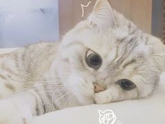 -麦当劳(文化西路店)