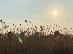 -滆湖低碳生态公园