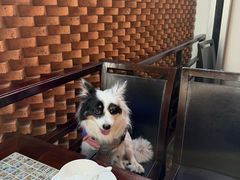 -走马楼饭庄(慈城古县城店)