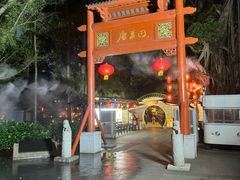 -侨美·唐荔园·40年地道粤菜