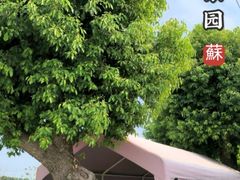 -乡乐园蟹庄·阳澄湖农家乐