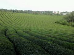 -敬亭山风景名胜区
