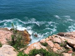 -广东惠东海龟国家级自然保护区