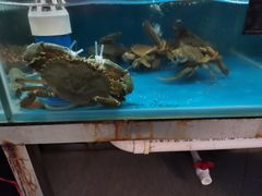 -张家卫·阳江菜·小海鲜(肥婆湾桥店)