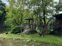 -清迈夜间动物园