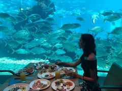 -海棠湾洲际-涛·海底餐厅·美人鱼·自助餐·海底隧道