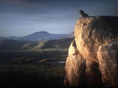 -幸福蓝海和乐影院(吴江吾悦广场店)