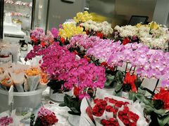 -盒马X会员店(王府井奥莱UP TOWN店)