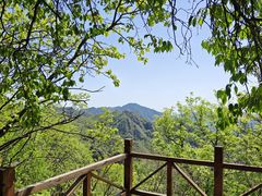-大岭沟猕猴桃谷风景区