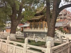 -上海东林寺(金山区)