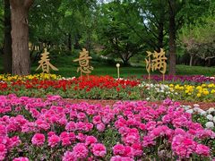 -香山公园