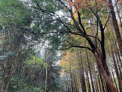 -天生桥景区