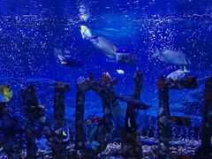 -太平洋海底世界