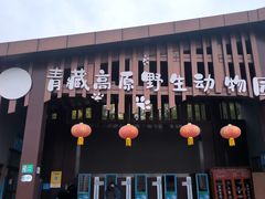 -青藏高原野生动物园