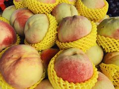 -红星农博物流中心