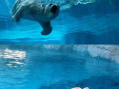 -珠海长隆海洋王国