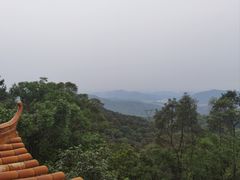 -广州市帽峰山景区