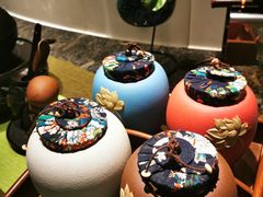 -虹桥机场国航贵宾室v8